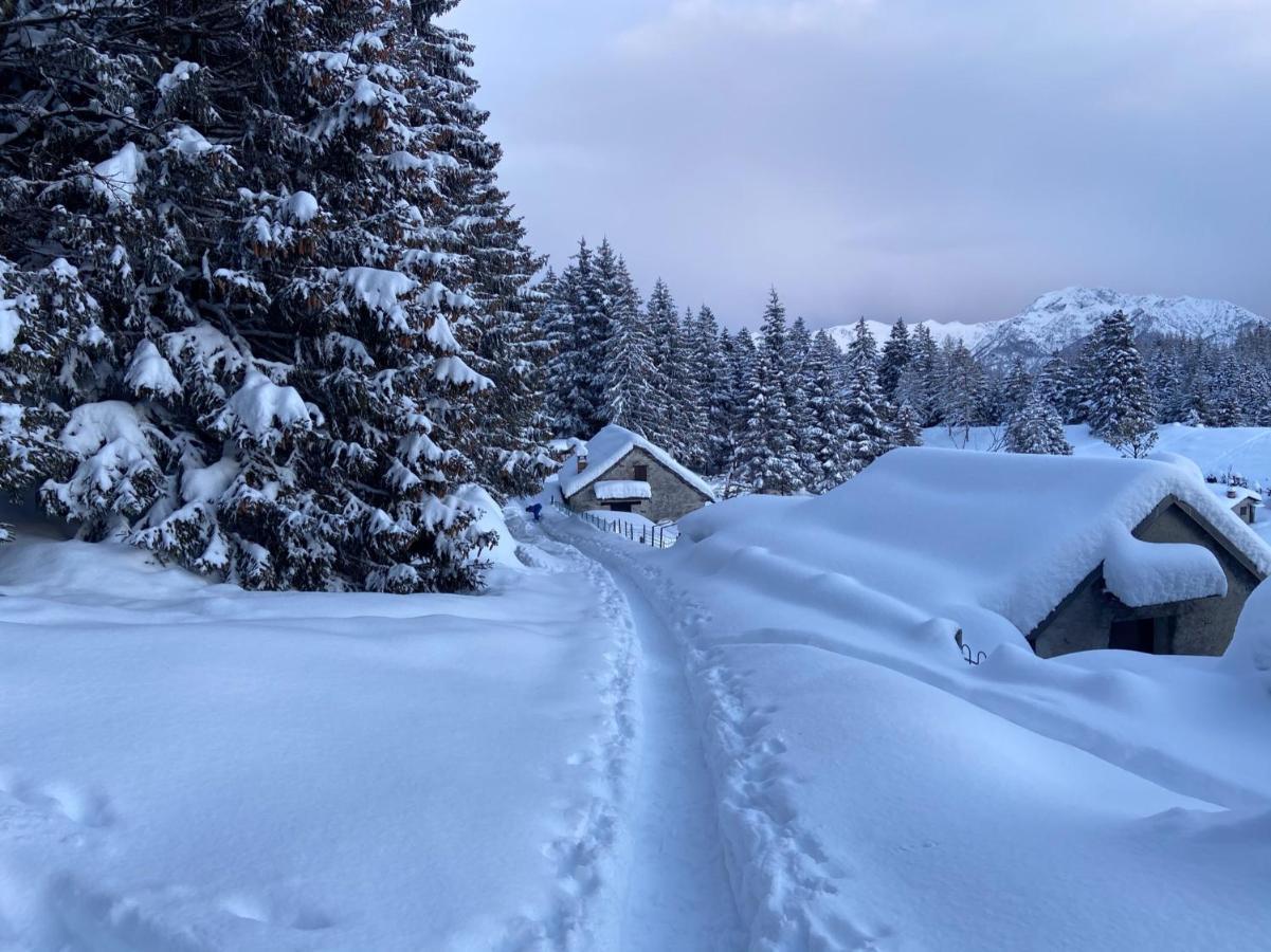 Do-Minus Boutique Home & Private Spa Ca Pedrot Mountain Cottage 蒙特卡罗索 外观 照片